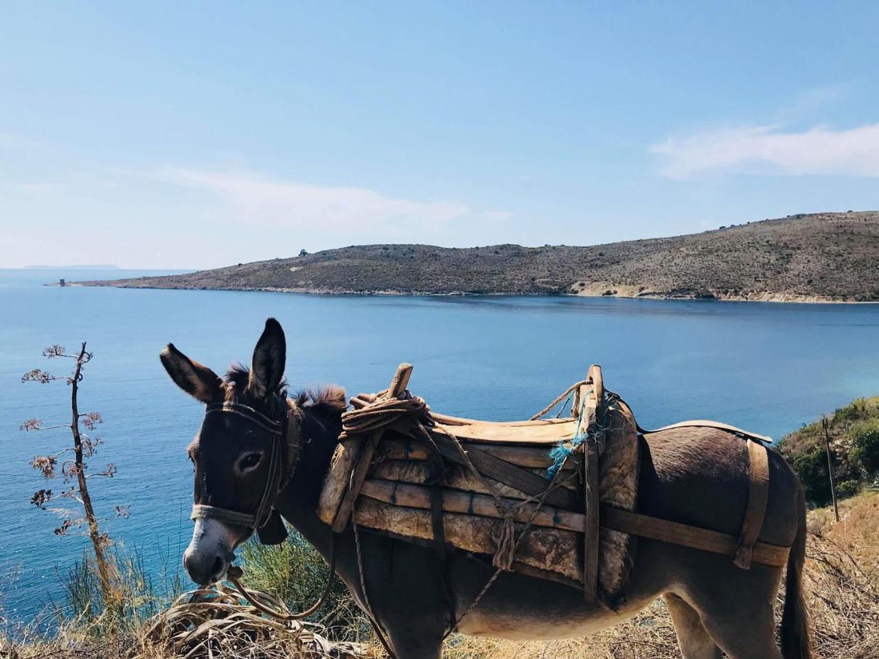 Hotel Geo & Art Boutique Himare